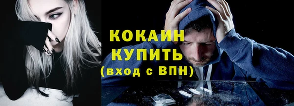 гидра Аркадак