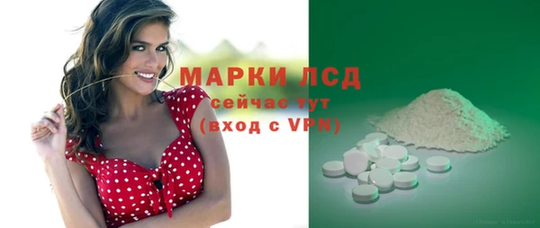 гидра Аркадак