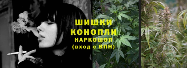 гидра Аркадак