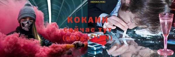 гидра Аркадак