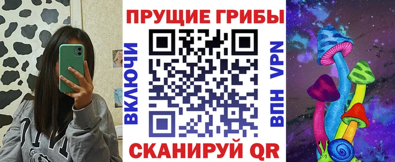 Псилоцибиновые грибы прущие грибы  купить закладку  Малоархангельск 